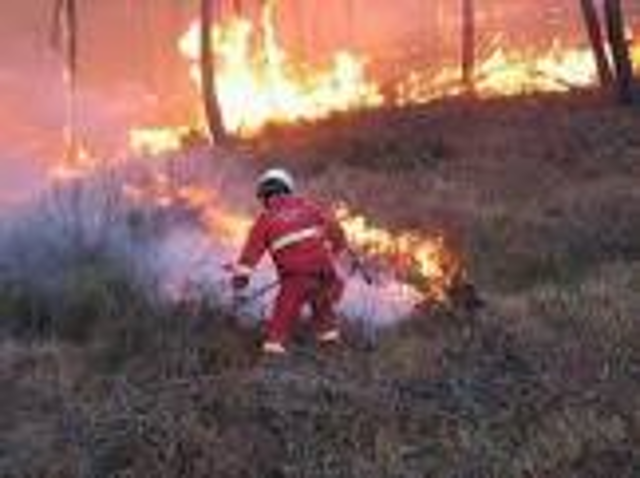 Stato alto rischio di incendio boschivo