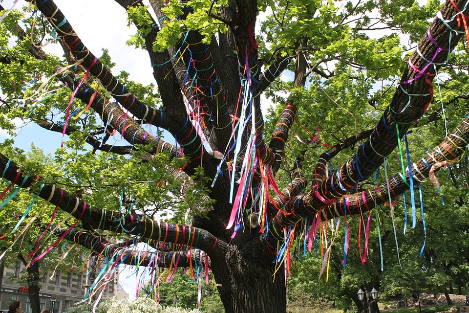 imBOOKati - L'albero delle bugie di Hardinge 